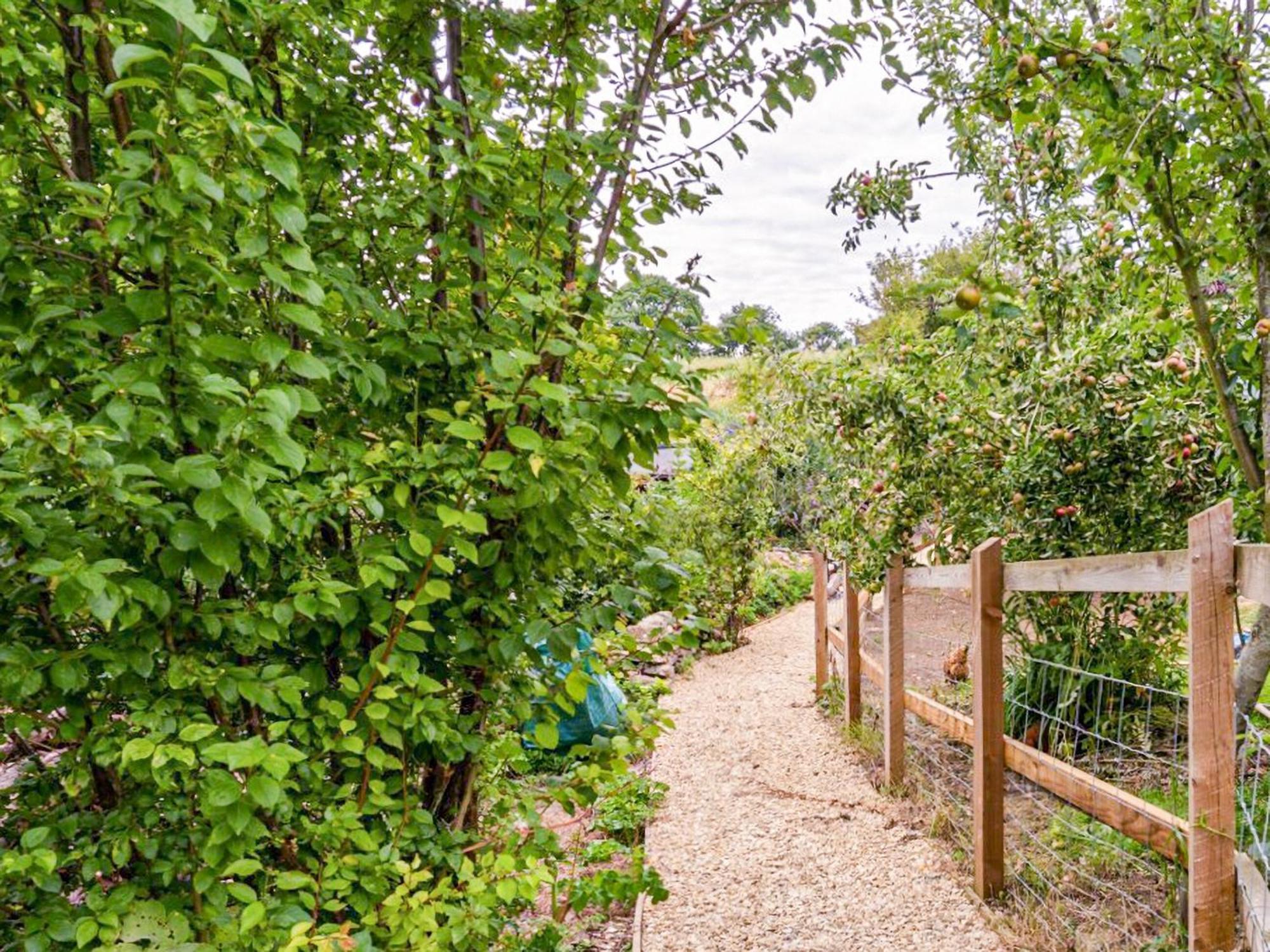 Fig Tree Shepherds Hut Bridport Zewnętrze zdjęcie