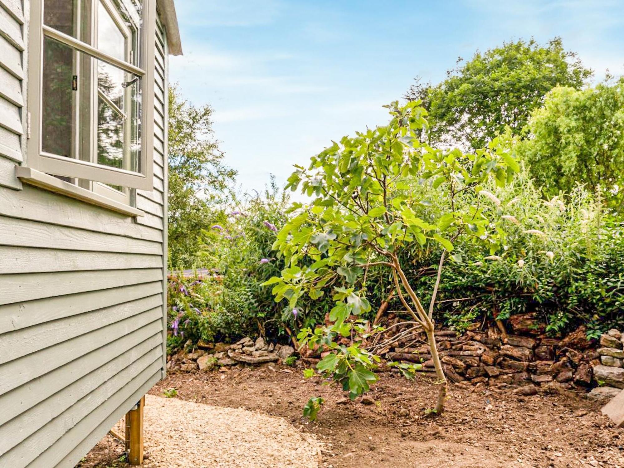 Fig Tree Shepherds Hut Bridport Zewnętrze zdjęcie